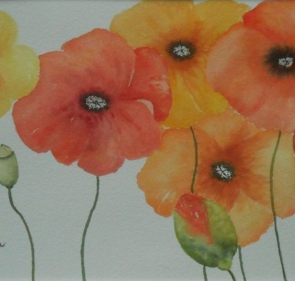 Mohn 90×50