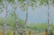 Waldweg im Dachauer Moos
